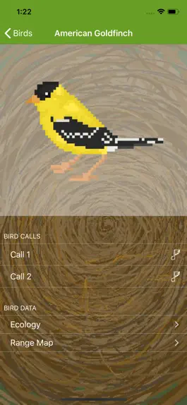 Game screenshot Word of the Bird apk