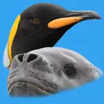 Antarctic Wildlife Guide App Support