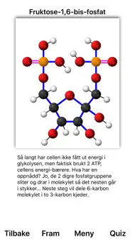 Glykolyse iphone bilder 1