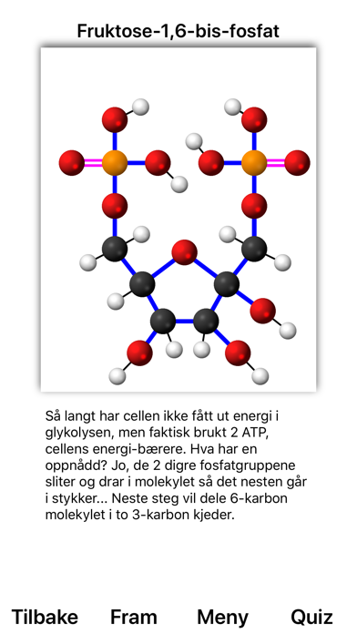 Glykolyse Screenshot