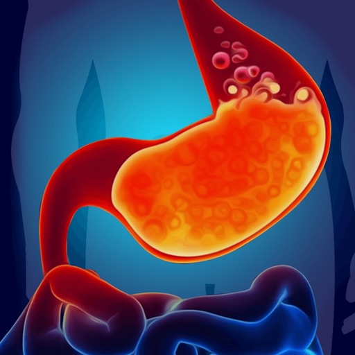 Gas Trouble in Stomach Acidity icon