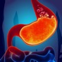Gas Trouble in Stomach Acidity app download