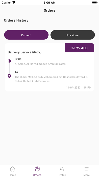 Chauffeur Driver Screenshot
