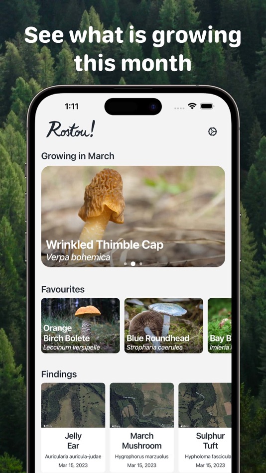#1. Rostou! - Mushroom Guide (iOS) โดย: Jan Stehlik