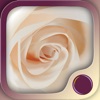 Love & Intimacy Hypnosis icon