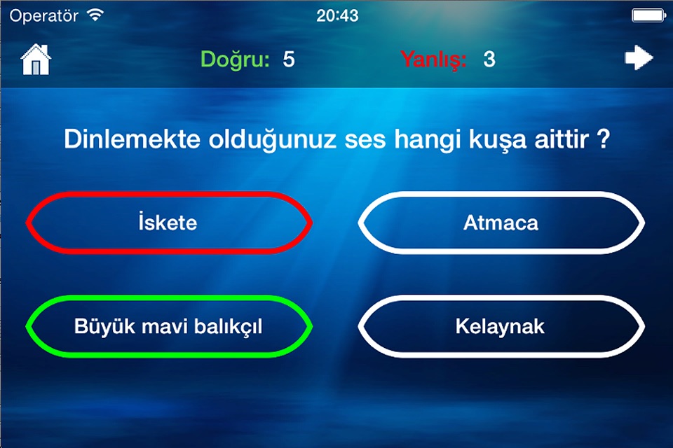 Kuş Sesleri screenshot 3