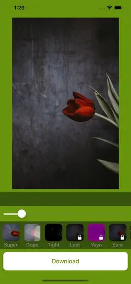 Game screenshot Perfect Wallpapers Flowers HD apk