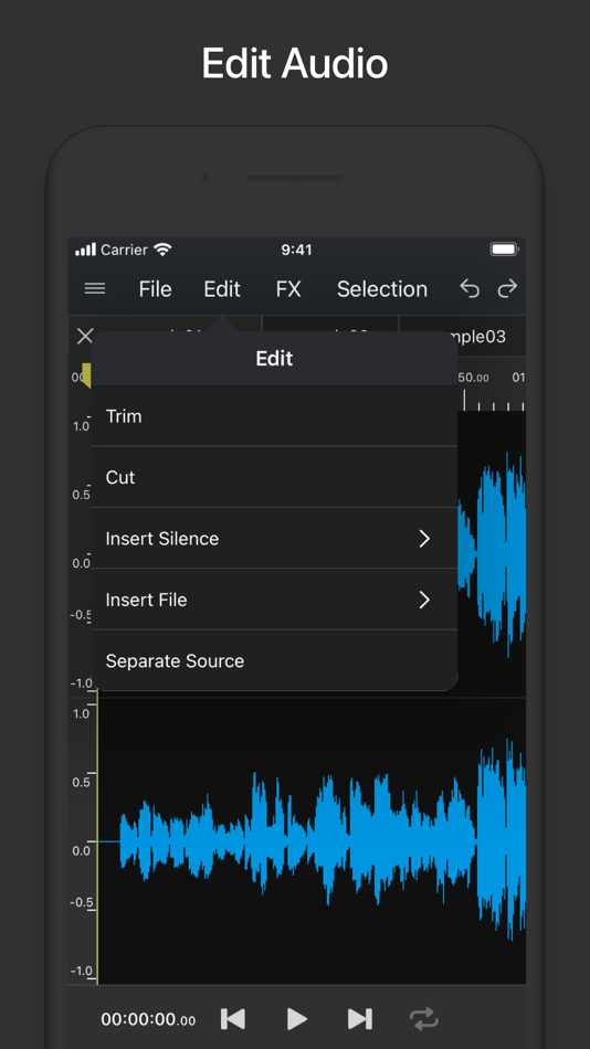 #2. Audio Editor & Tool (iOS) 由: Nobutaka Yuasa