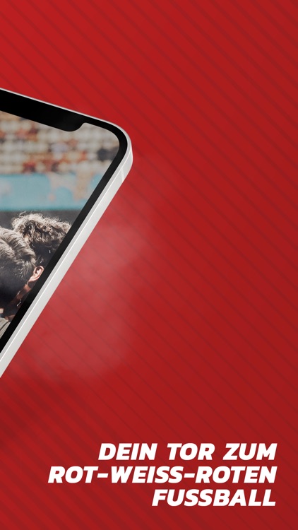 ÖFB: News, Videos & Ergebnisse