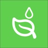 Water That Plant icon