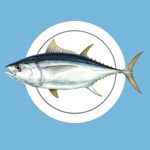 Download MadeiraFish app