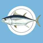 MadeiraFish App Alternatives