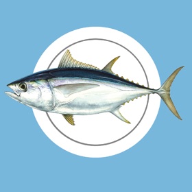Snímky obrazovky (5) MadeiraFish