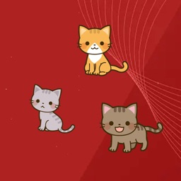 CAT DOCKING