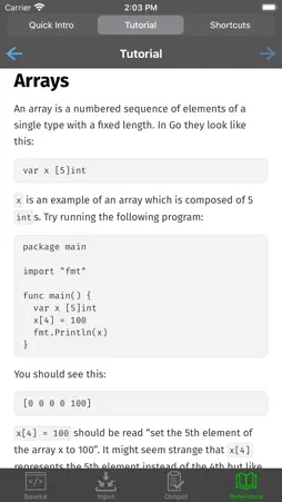 Go Programming Compiler screenshot 3