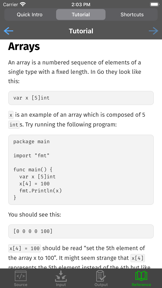 Go Programming Compiler screenshot