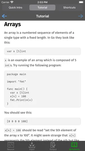Go Programming Compiler screenshot 3
