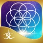 Beauty Everywhere Oracle Cards app download