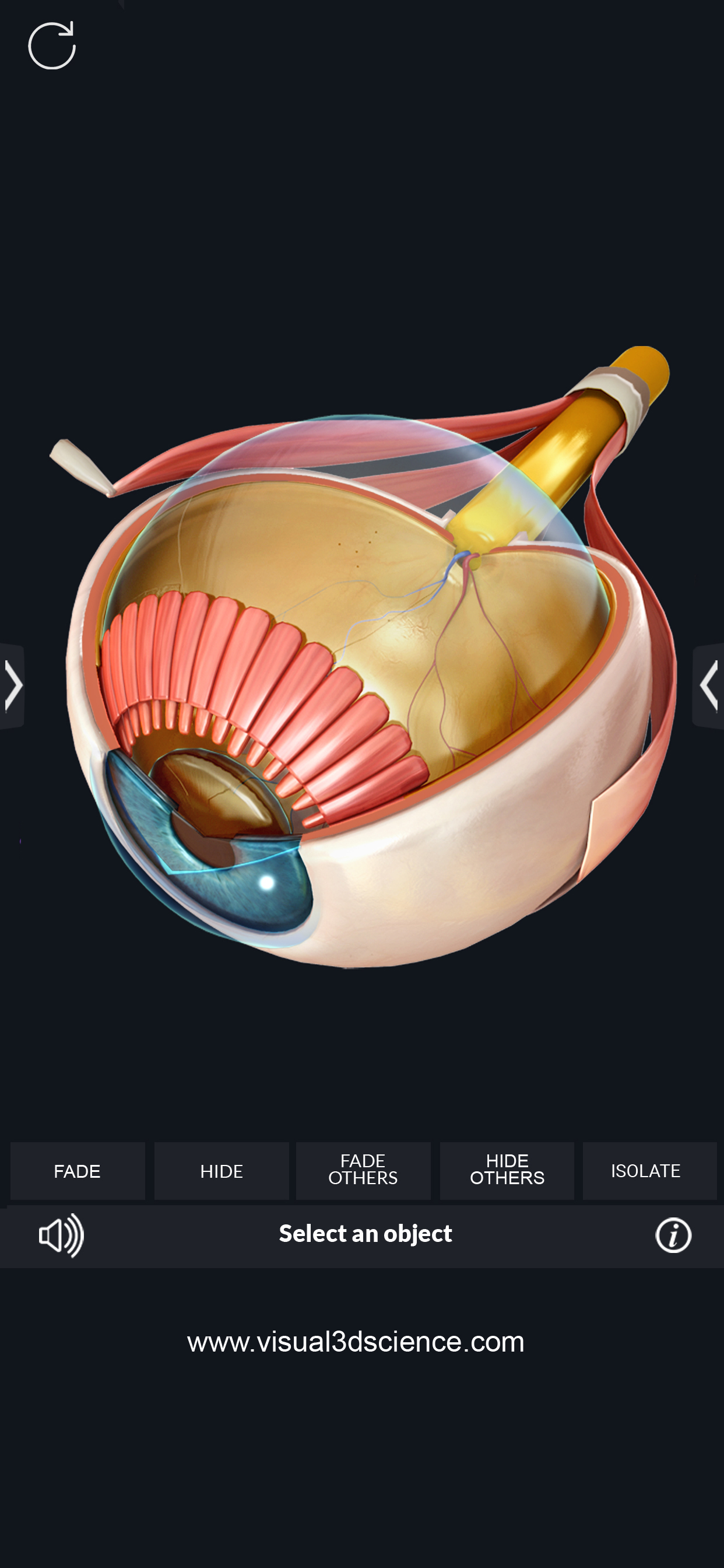 Organs Anatomy screenshot 5