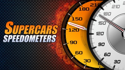 Car's Speedometers & ... screenshot1