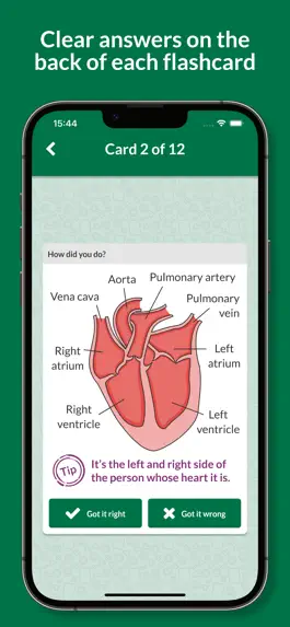Game screenshot Key Cards GCSE AQA Biology apk