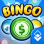 Cash Out Bingo: Win Real Money app download