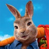 Icon Peter Rabbit Run!