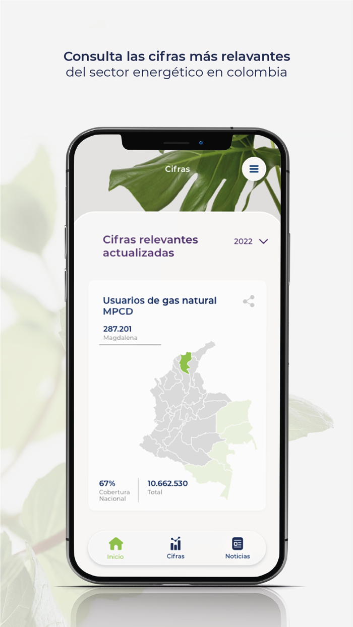 Informe del Sector Gas Natural