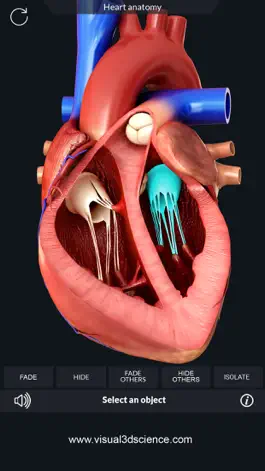 Game screenshot My Heart Anatomy apk