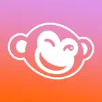 PicMonkey Photo + Video Design App Positive Reviews