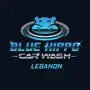 Blue Hippo Express Car Wash