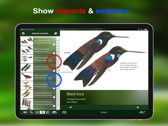 All Birds Colombia field guide iPad app afbeelding 7