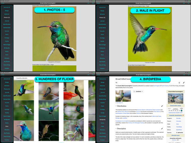 ‎iBird Ultimate Guide to Birds Ảnh chụp màn hình