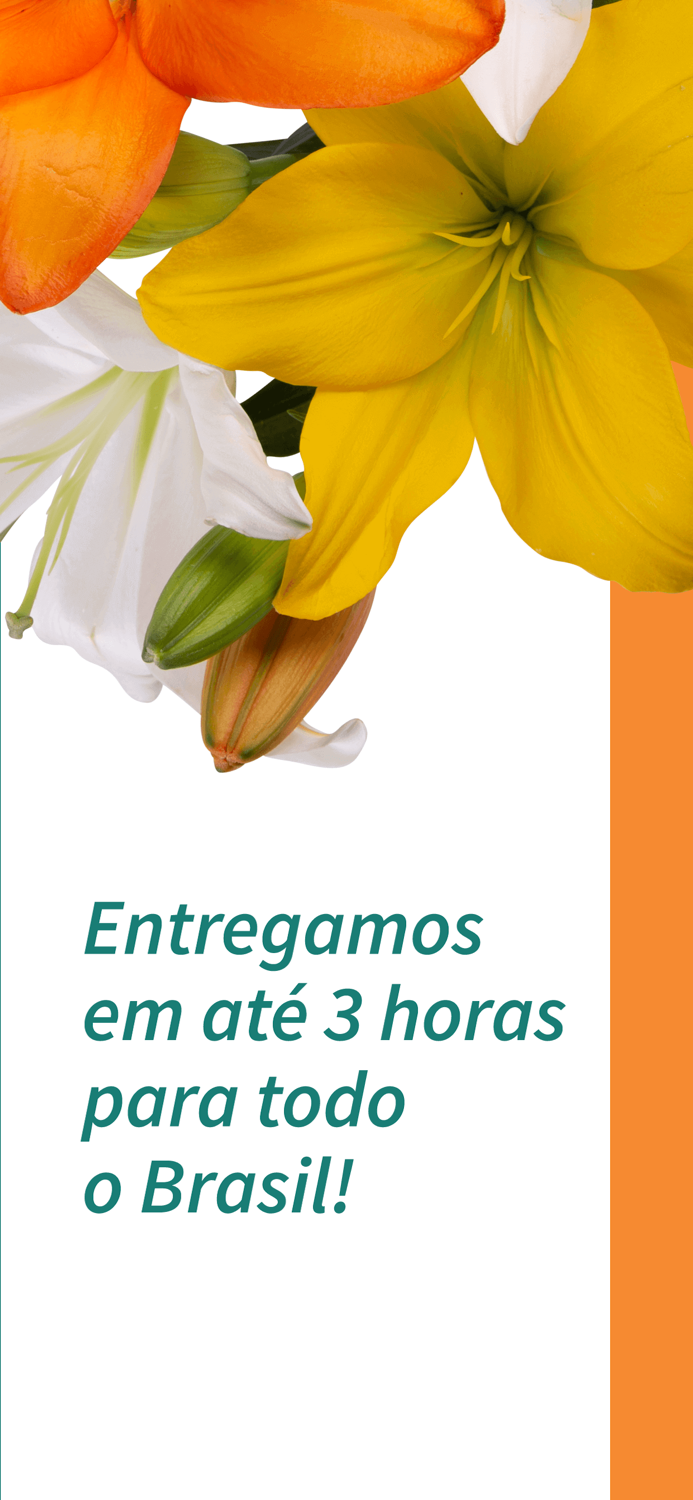Nova Flor Floricultura Online