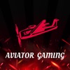 Aviator gaming icon