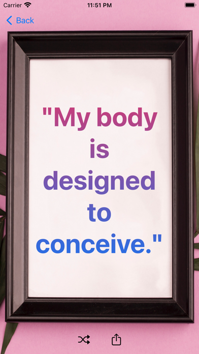 Pregnancy Affirmations Screenshot