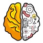 Brain Test - IQ Test app download