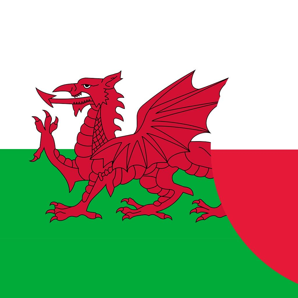 Get Słownik Walijski-Polski for iOS, iPhone, iPad Aso Report