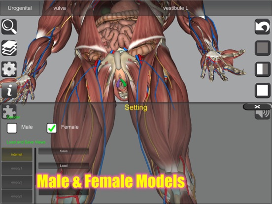 3D Anatomy iPad app afbeelding 5