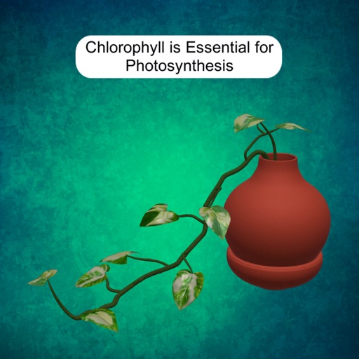 Chlorophyll & Photosynthesis icon