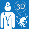 Pelvic Floor 3D - Medscience Animations Studios Inc.