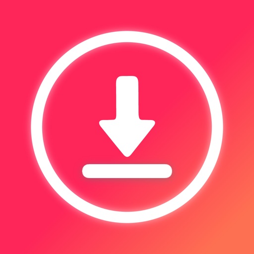 Video Downloader: Story Save