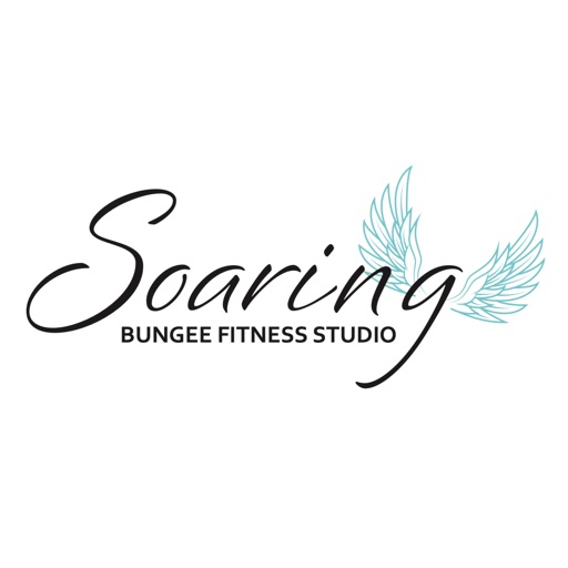 Soaring Bungee Fitness Studio