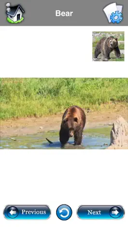 Game screenshot Baby Flash Cards : 500+ Words hack