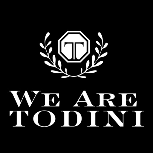 We Are Todini