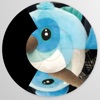 Circluzzle icon