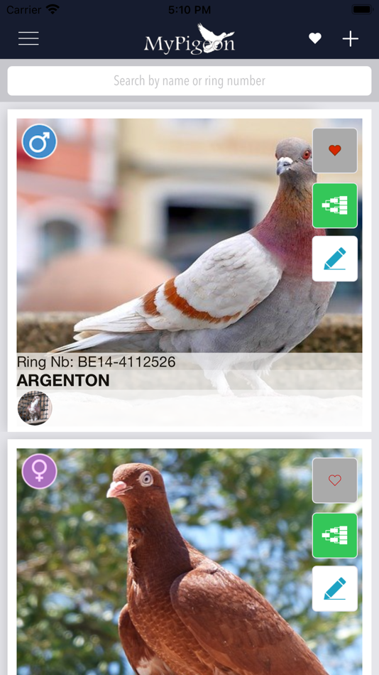 #1. MyPigeon App (iOS) 由: LIGO MEDIA MOBILE SRL-D