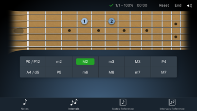 Fretronome Screenshot