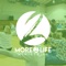 The M2L App features content from More 2 Life Ministries, Inc located in Okeechobee, Florida