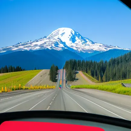 DMV Exam Prep (WA State) Cheats